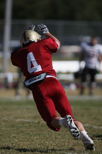 1xbet体育官方入口-鹿岛鹿角赛前训练公开，备战世俱杯冲刺